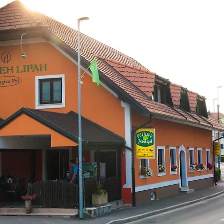 Pri Treh Lipah פטוי
