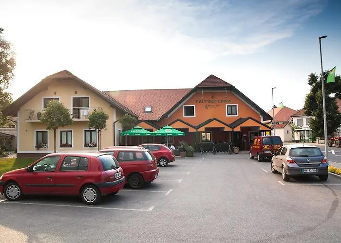 Pri Treh Lipah Guest house 2*